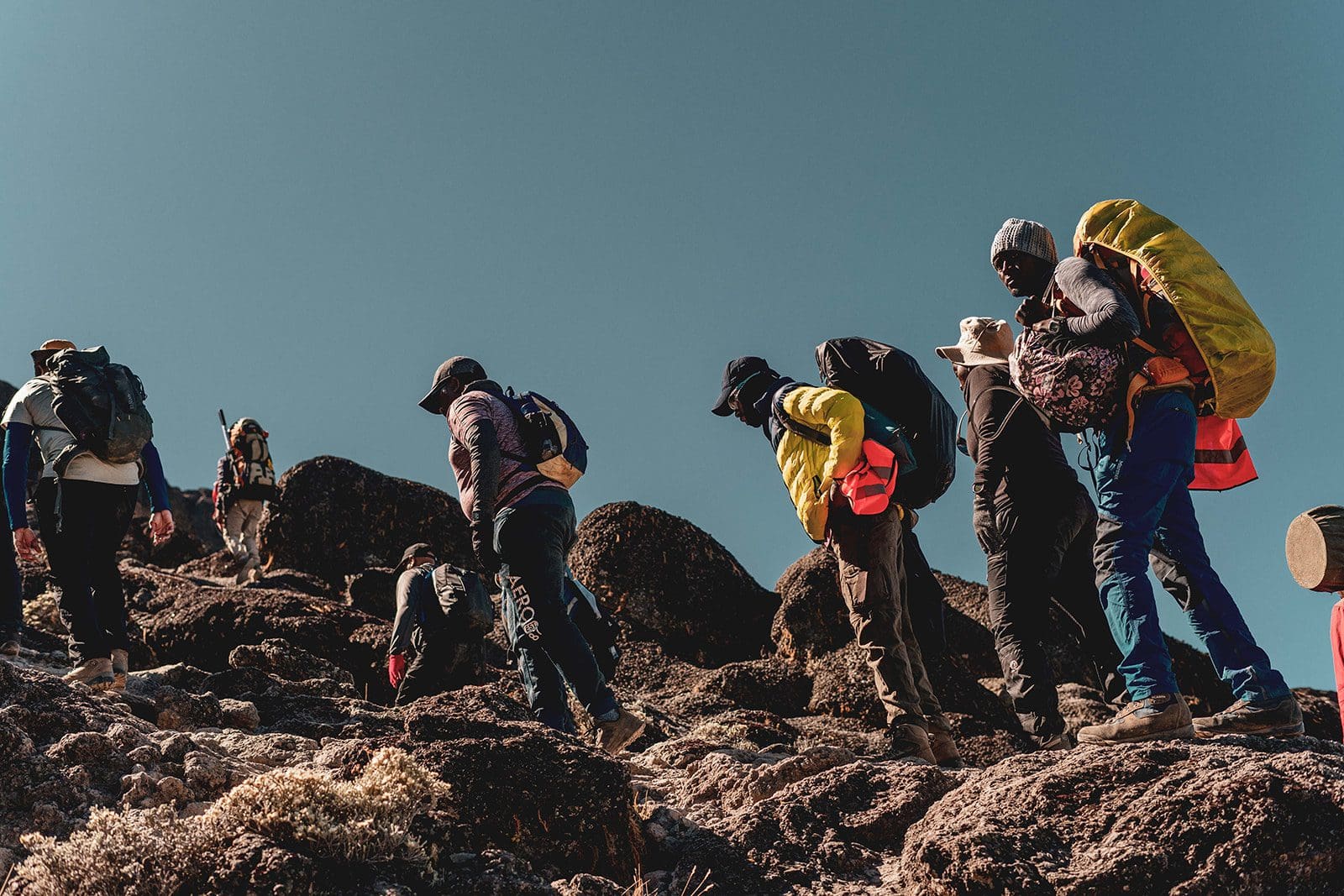 9 Days Kilimanjaro Northern Circuit Route - Ahsante Tours & Safaris QSF01002