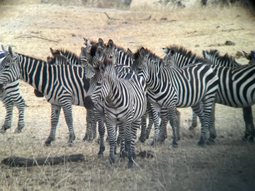 TARANGIRE NP 6 1024x768 1