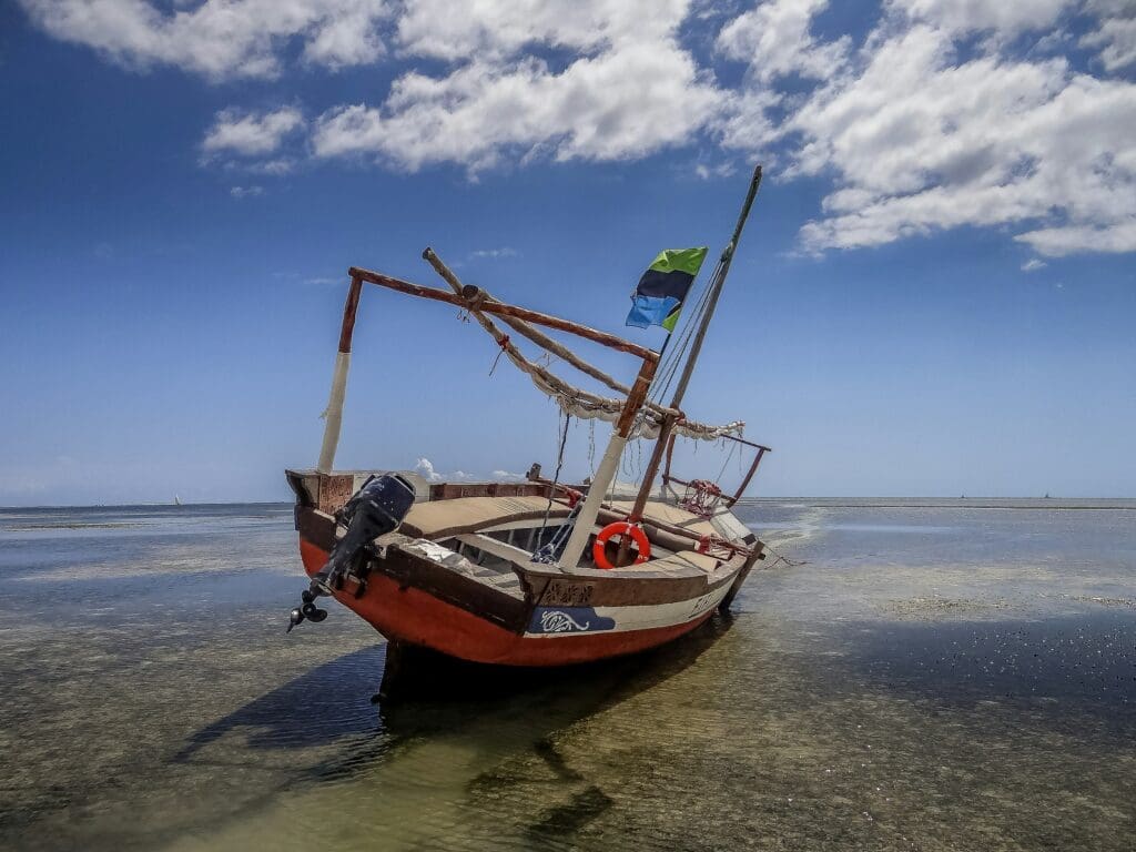 lidia stawinska 08RSrc3Pndk unsplash scaled