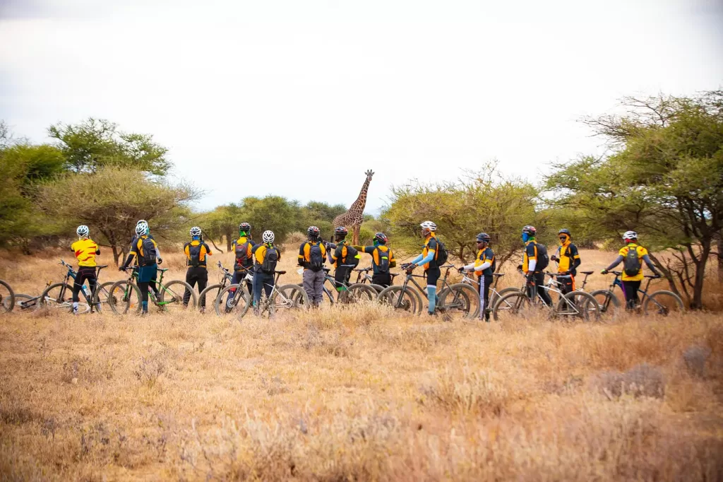 1 YB6Iy19cq3quD2QOfLwv9A