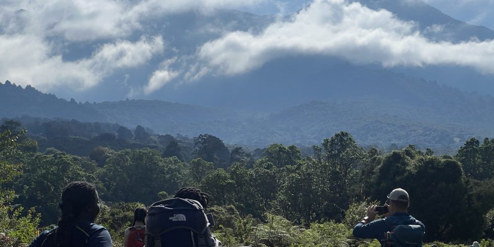 Kilimanjaro Landing Page - Ahsante Tours & Safaris IMG 1189 scaled