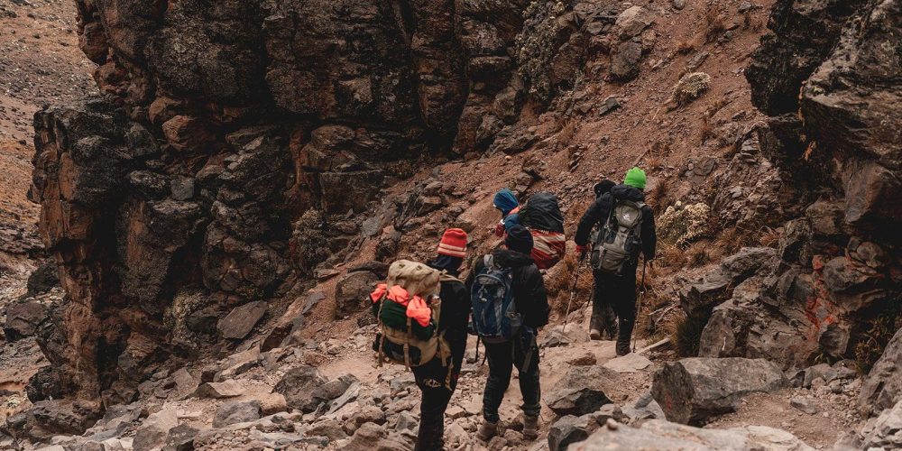 Kilimanjaro Landing Page - Ahsante Tours & Safaris QSF00449