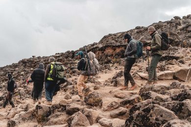 8 Days Lemosho Route - Ahsante Tours & Safaris QSF00479