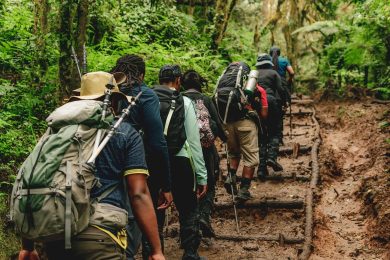 8 Days Lemosho Route - Ahsante Tours & Safaris QSF01076