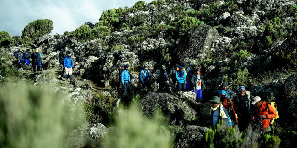 Kilimanjaro Landing Page - Ahsante Tours & Safaris QSF06169 scaled