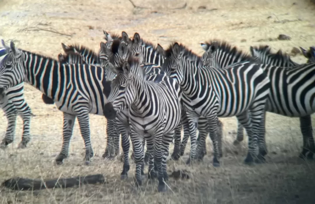 TARANGIRE NP 6 1024x768 1