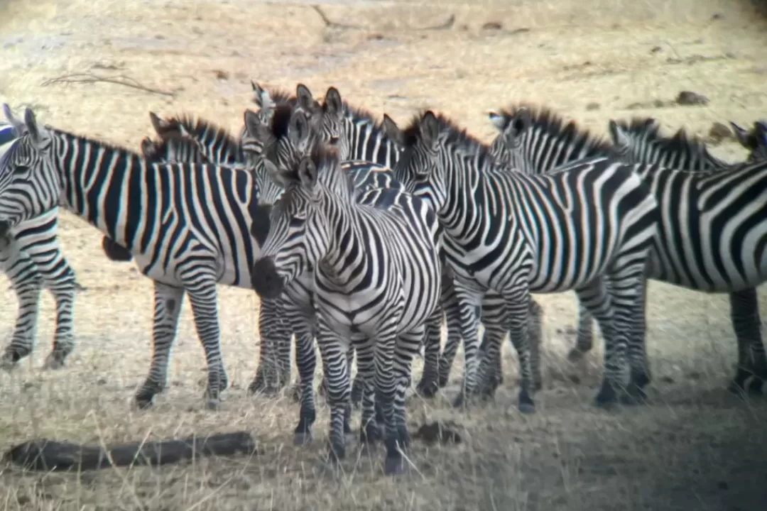 TARANGIRE NP 6 1024x768 1