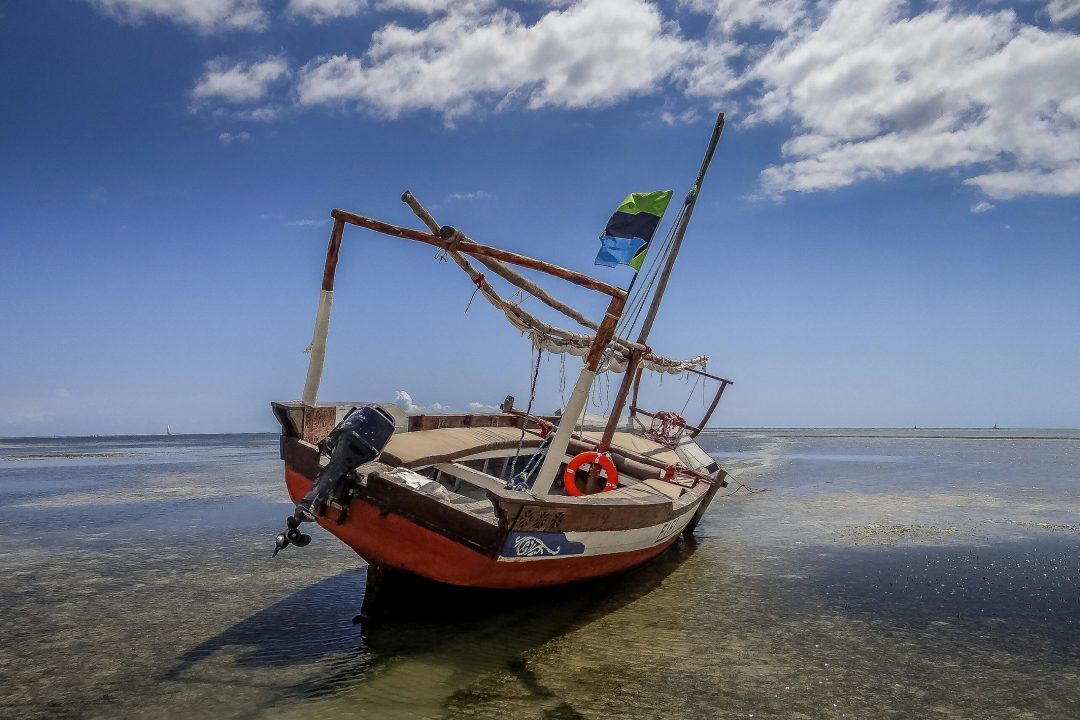 lidia stawinska 08RSrc3Pndk unsplash scaled